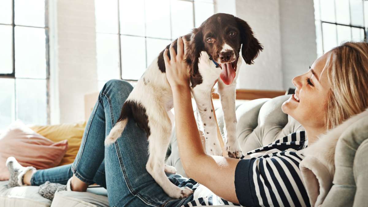 How to Pet-Proof Your Home's Plumbing